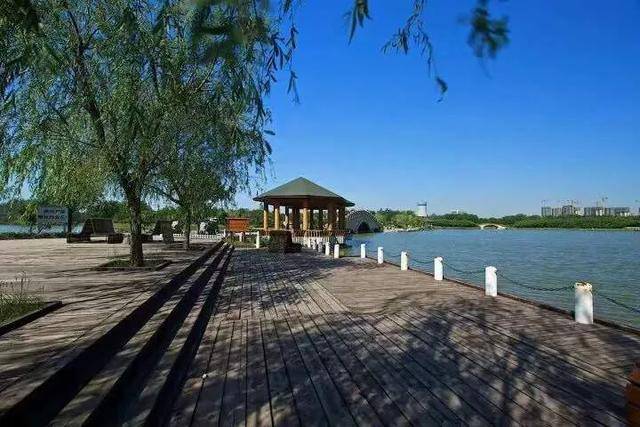 天津这些好玩的郊野公园快来一起感受大自然的气息吧