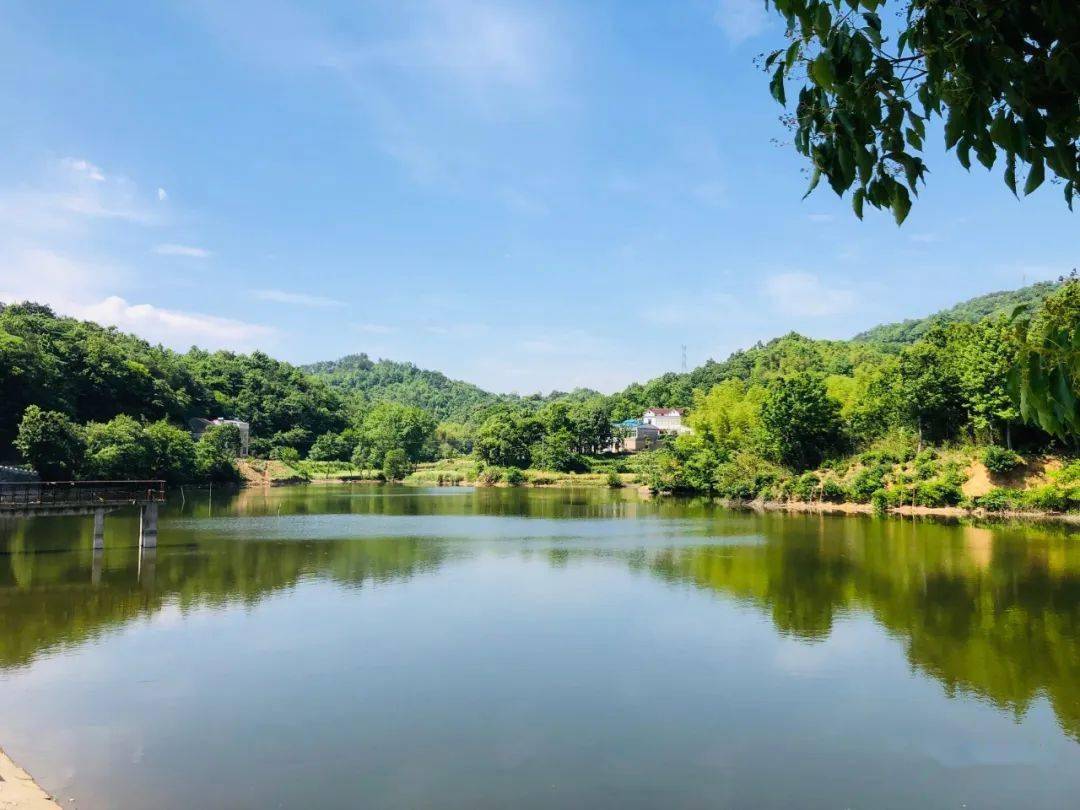 看桐城大关镇整治人居环境提升村民幸福感