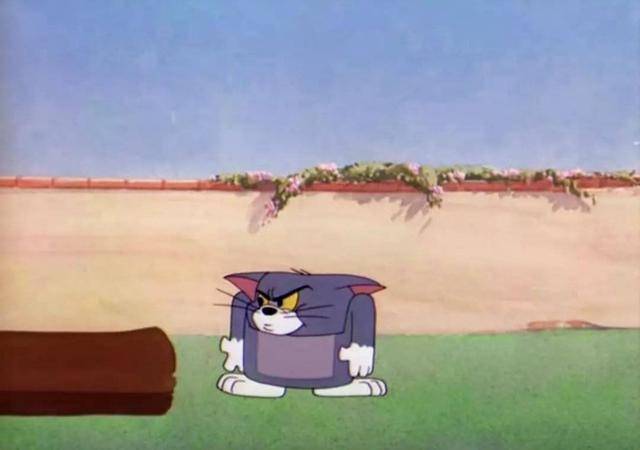 【汤姆被揍的一百种形态】猫生艰难啊!