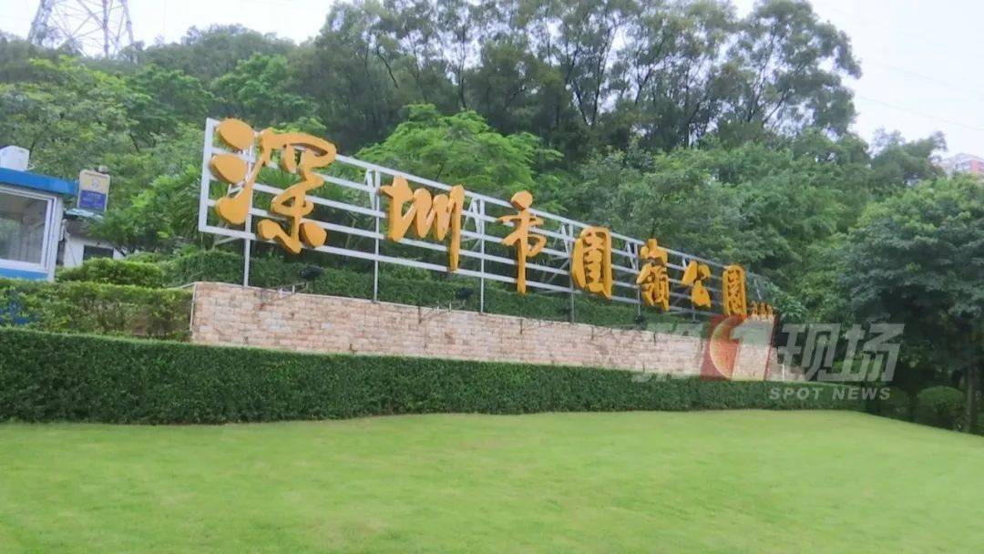 记者来到了其中一个伊蚊高密度监测点——罗湖区东晓街道办围岭公园