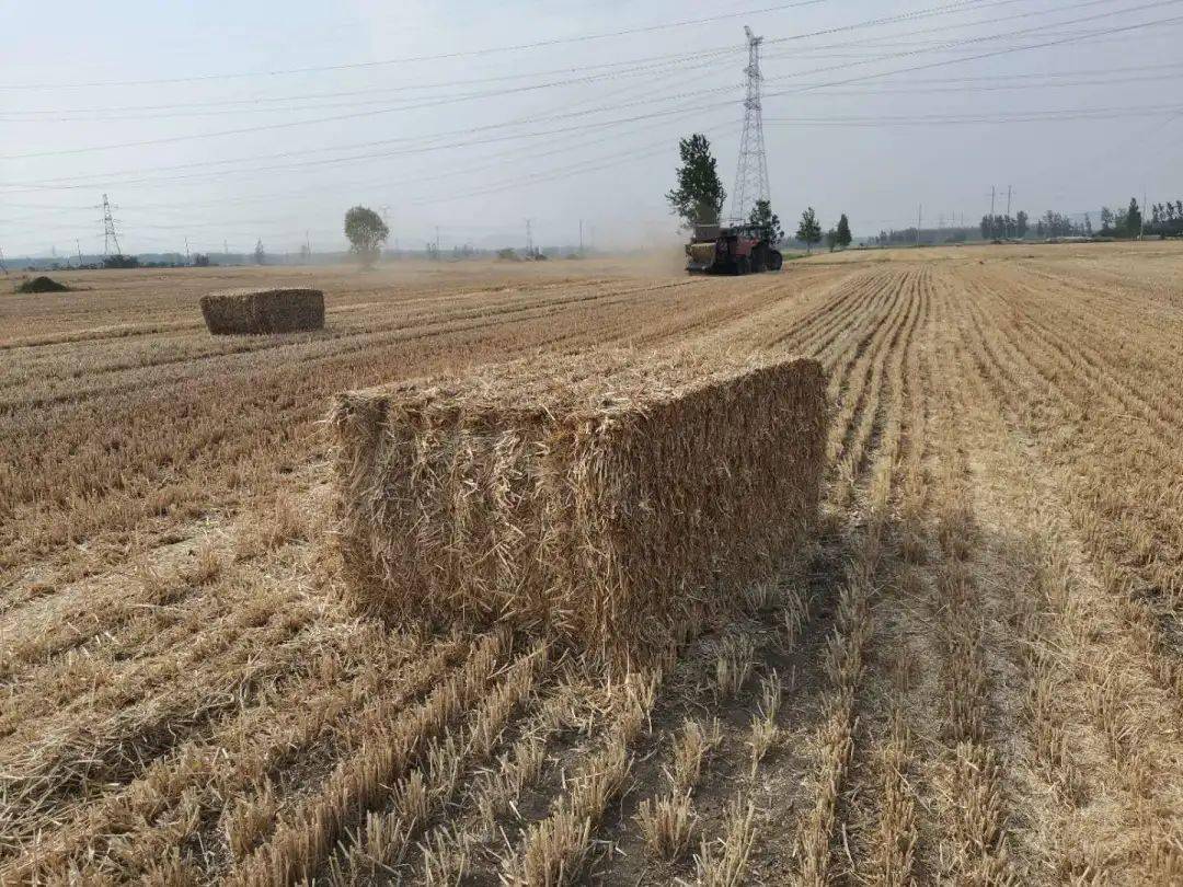 三夏见闻秸秆打捆助防火变废为宝促增收