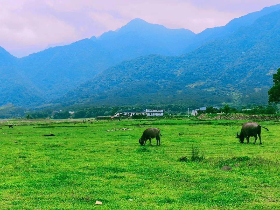 【夏日亲子季】邂逅美丽的韶关大草原,环湖森林徒步溯溪玩水,草原露营