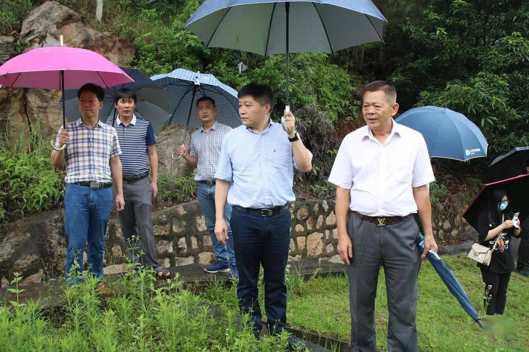 头条南安市政府常务副市长黄景阳带队到英都镇检查指导防汛备汛工作