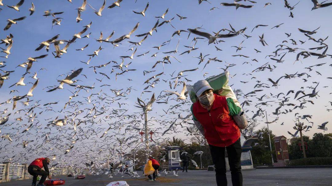 欣赏生态环保主题摄影大赛一等奖二等奖作品展示