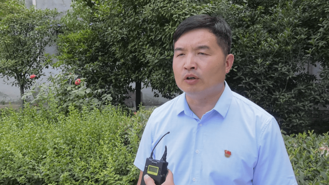 脱贫攻坚决战决胜郸城县秋渠乡千亩红花铺就群众致富路