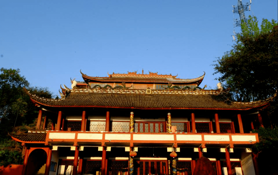 芦葭镇 来自搜狐网