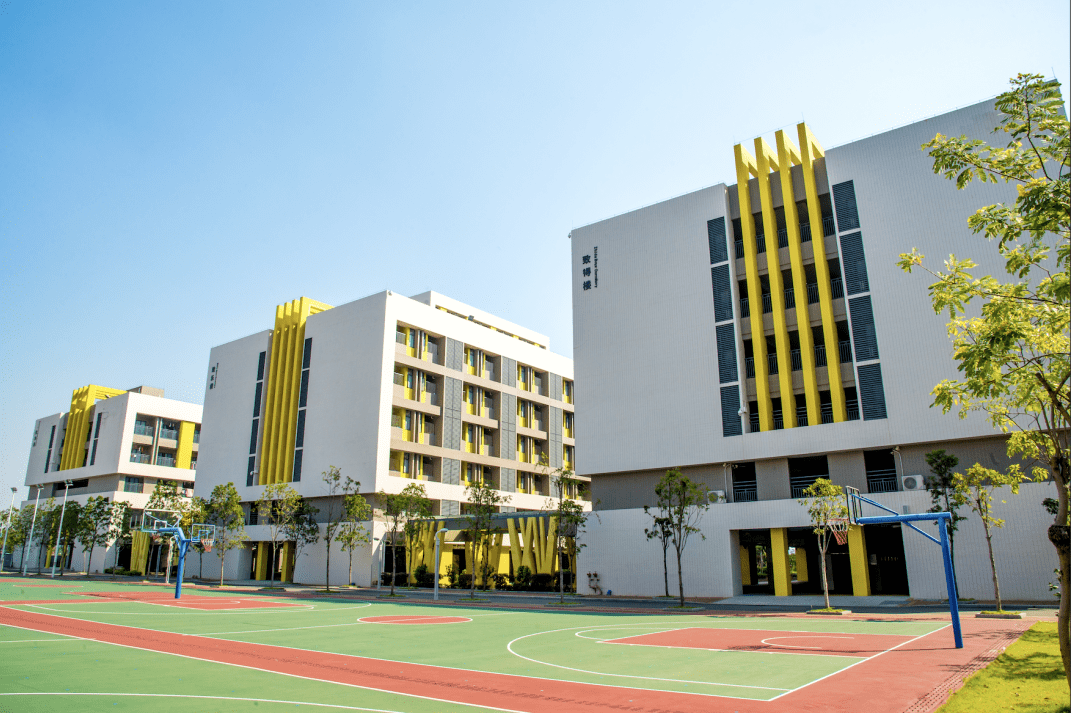 佛山市外国语学校2020年小学一年级招生简章