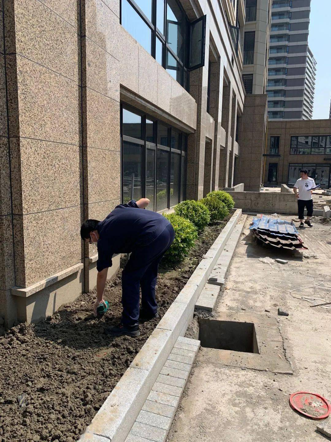 加强白蚁防治助力大江东项目建设完成监测控制装置埋设1000余套