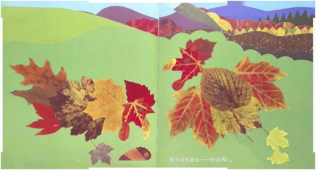 绘本简介《叶子先生》《叶子先生》用16种变色叶——炽烈的枫叶,斑驳