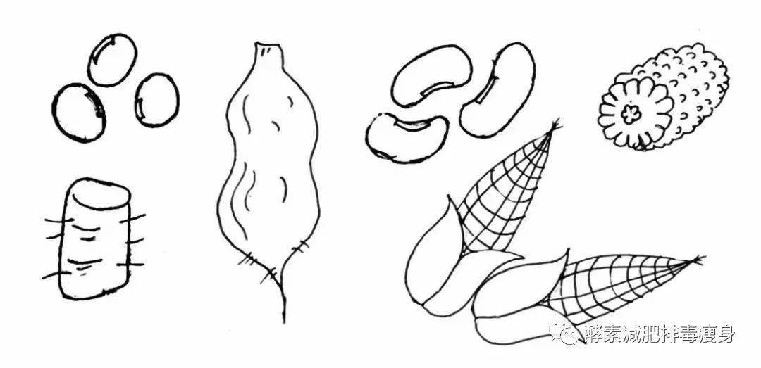 宅家想瘦身来看看膳食纤维