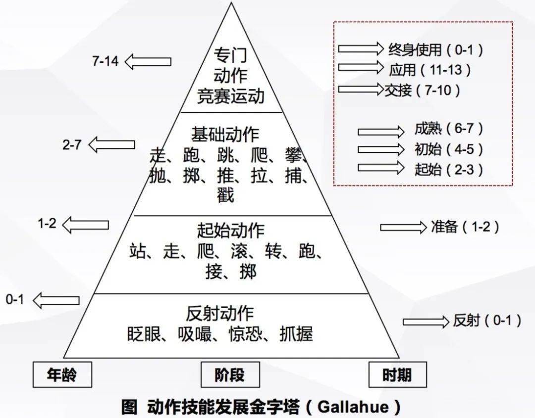 专访汪晓赞共筑学前儿童运动与健康干预体系