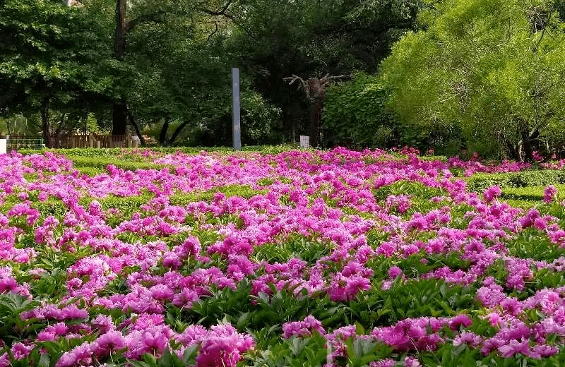 哈尔滨32连0速抢450万元消费券中小学政策重大调整