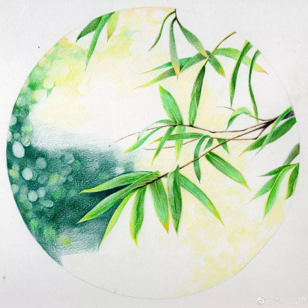 彩铅教程教你画君子竹