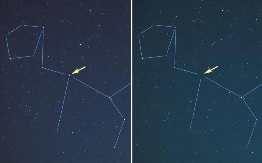 不可思议之星——鲸鱼座的"米拉"