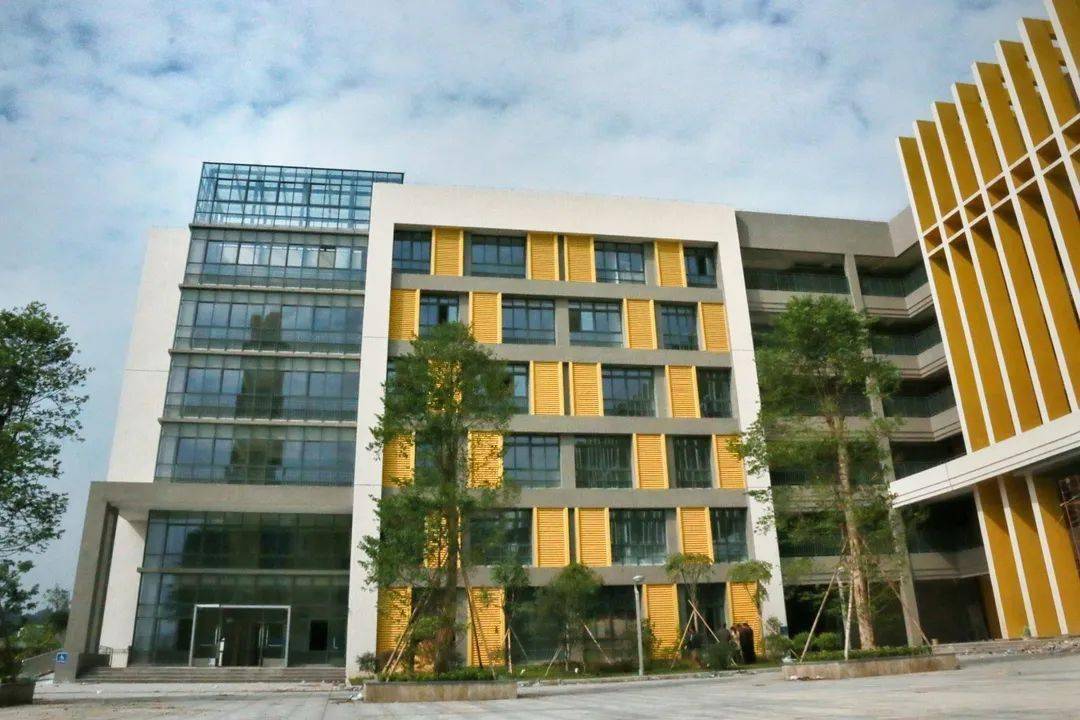 佛山市外国语学校2020年小学一年级招生简章