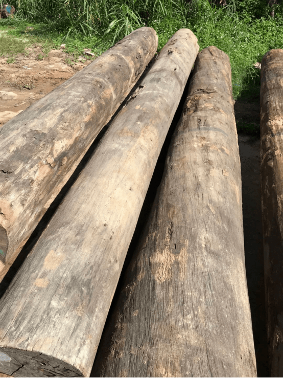 554_739竖版 竖屏