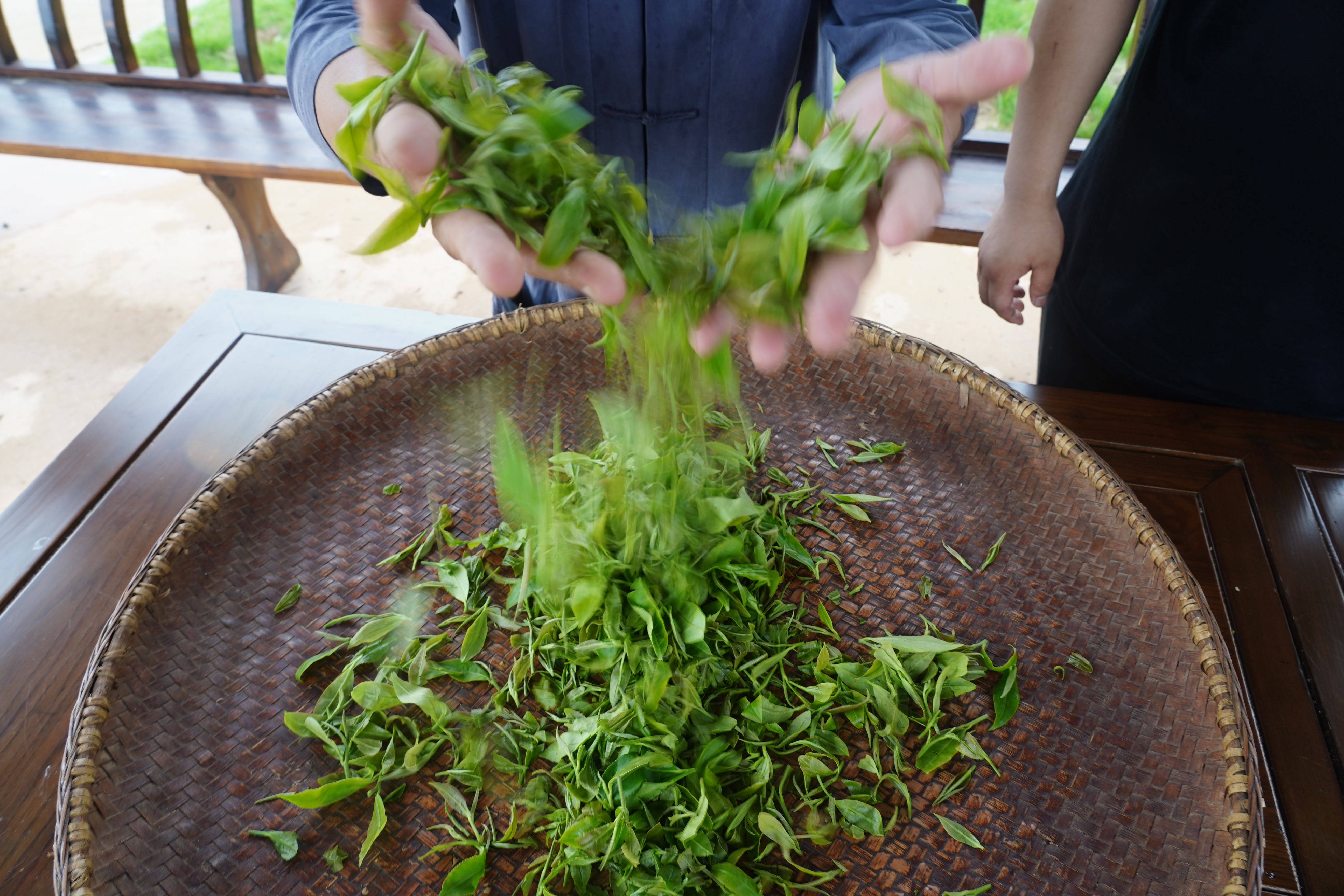 江西浮梁:"孚钉"红茶再飘香