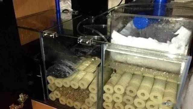 鱼缸过滤系统滤材大集合养鱼必须知道这些滤材都有什么用