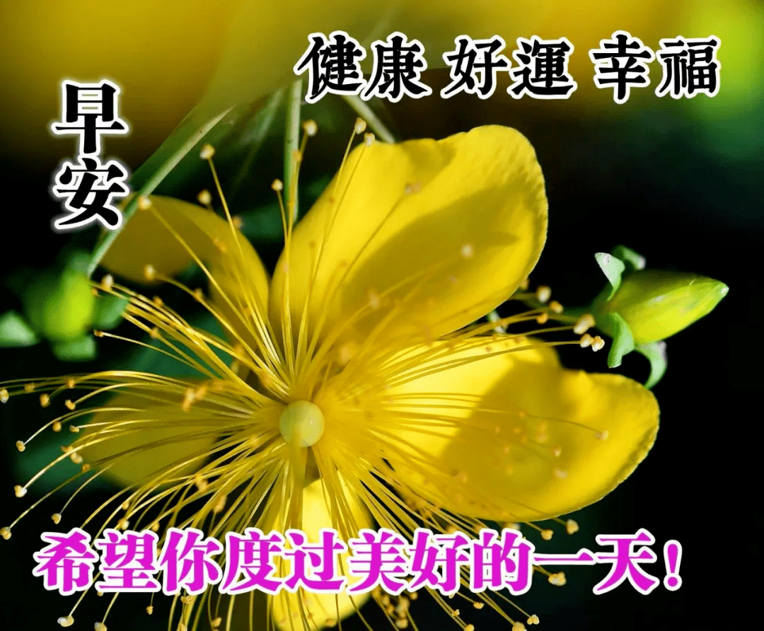 超讚早上好問候漂亮圖片表情帶字早安祝福動圖表情圖片