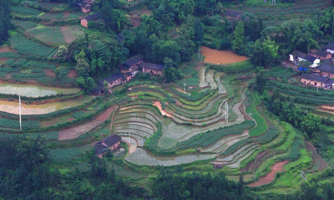 公平梯田 攝影:匡坤成紅龍梯田位於甲高鎮紅龍村,佔地面積1500畝,主要