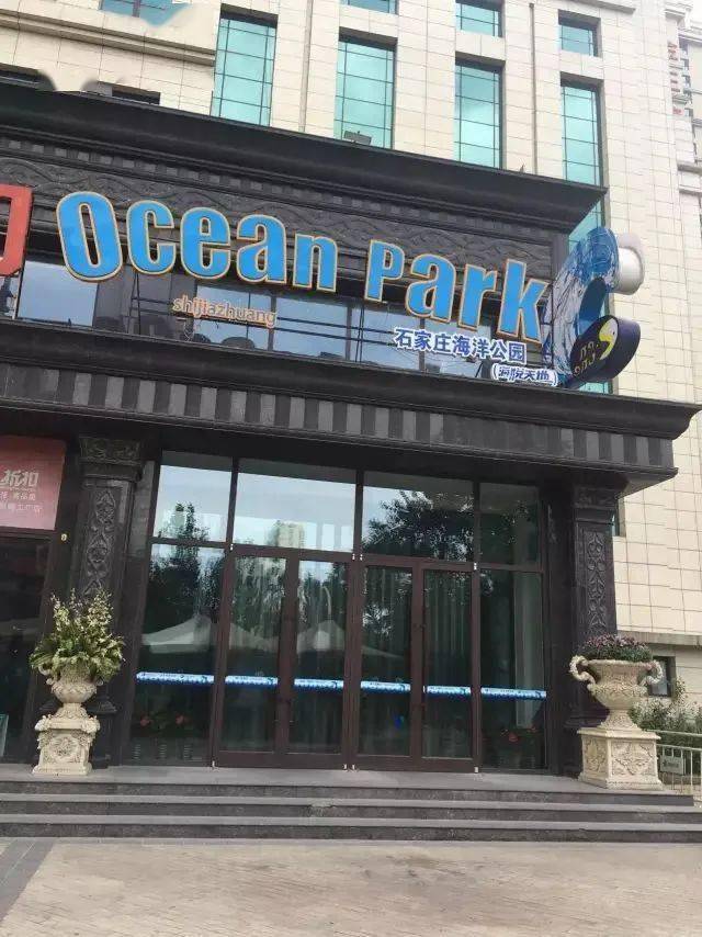 地址:石家庄市桥西区裕华路与中华大街交口海悦天地西侧负一层营业