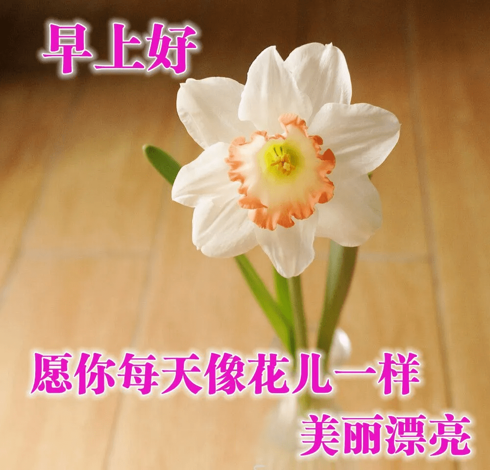 早上好圖片表情祝福語 週末早安祝福問候唯美圖片加句子