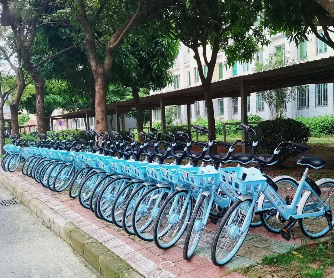 学校入驻哈啰单车后,刚买的青桔月卡怎么办?