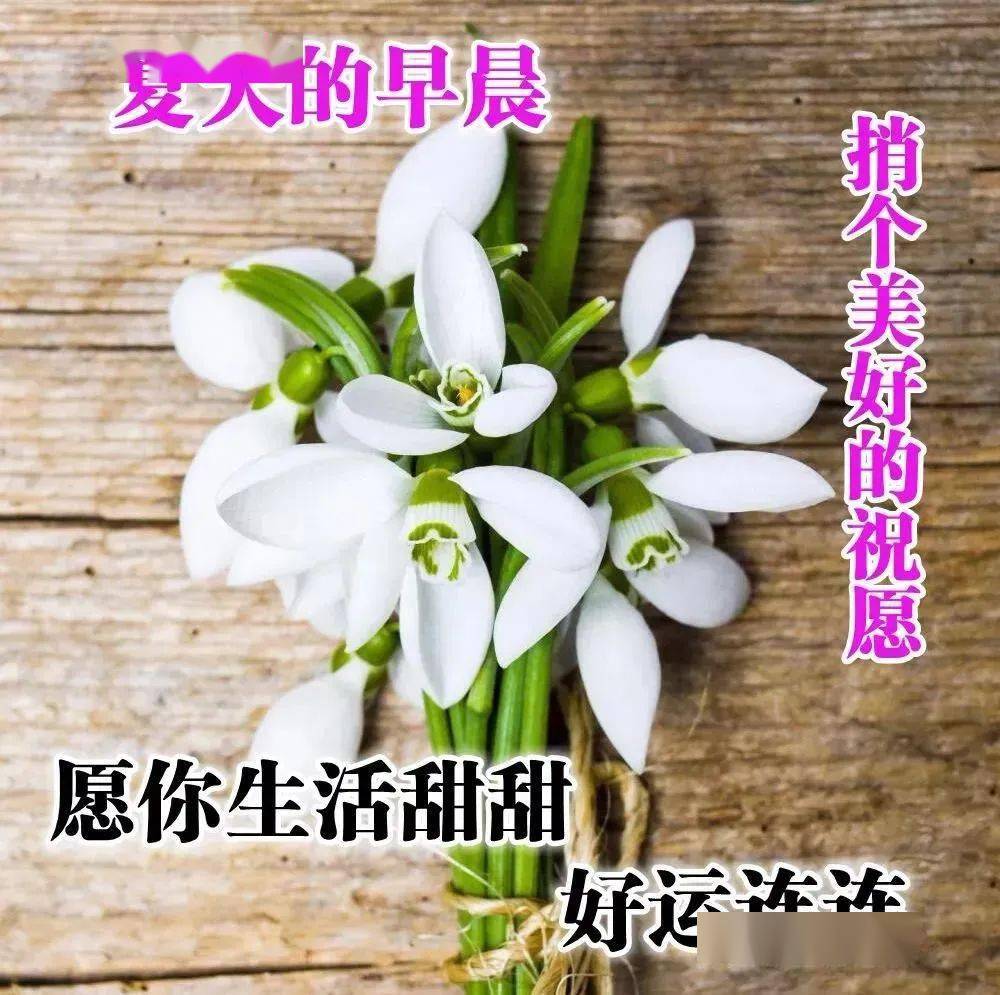 週六清晨早安祝福動態圖片大全最新早上問候語圖片加文字