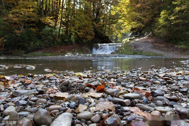 诗,大部分都有着深刻的哲理,譬如《小松》,《赠质上人》,《闽中秋思》