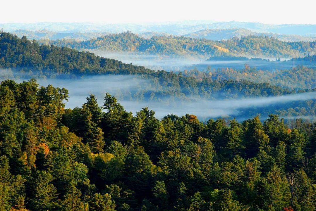 伊春地区植被生态质量指数位列全省前三名
