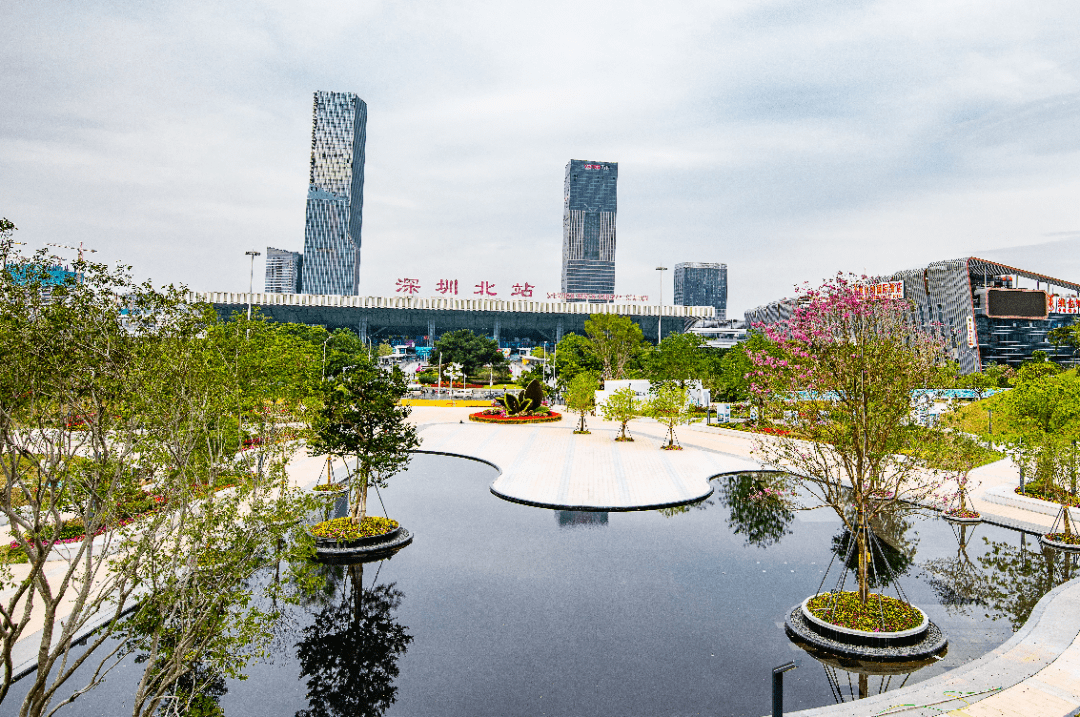 观澜体育公园预计年底完工交付!定了!今年深圳中小学暑假不推迟!