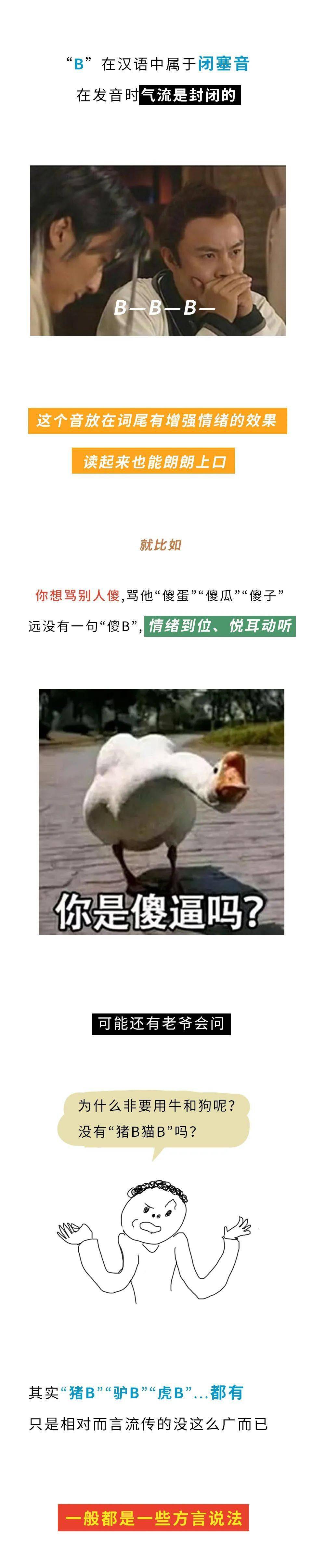 那豬(嗶——)呢?