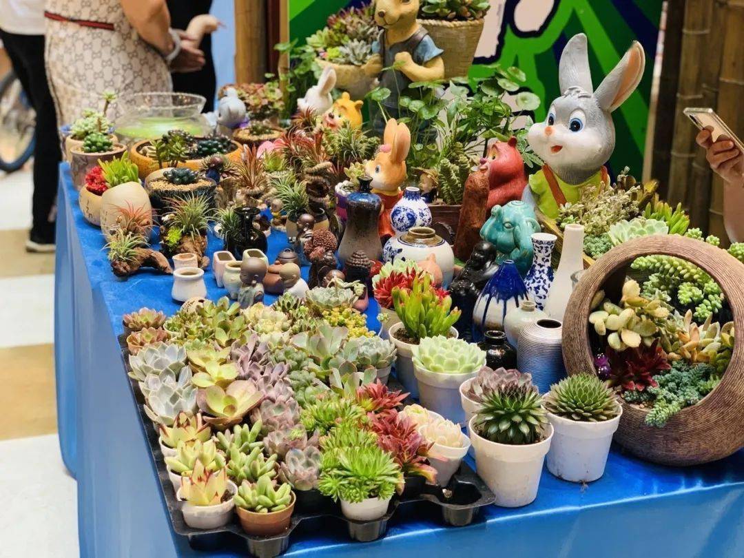 宜宾南岸这个地方开了个集市!比东街还热闹!_摊位