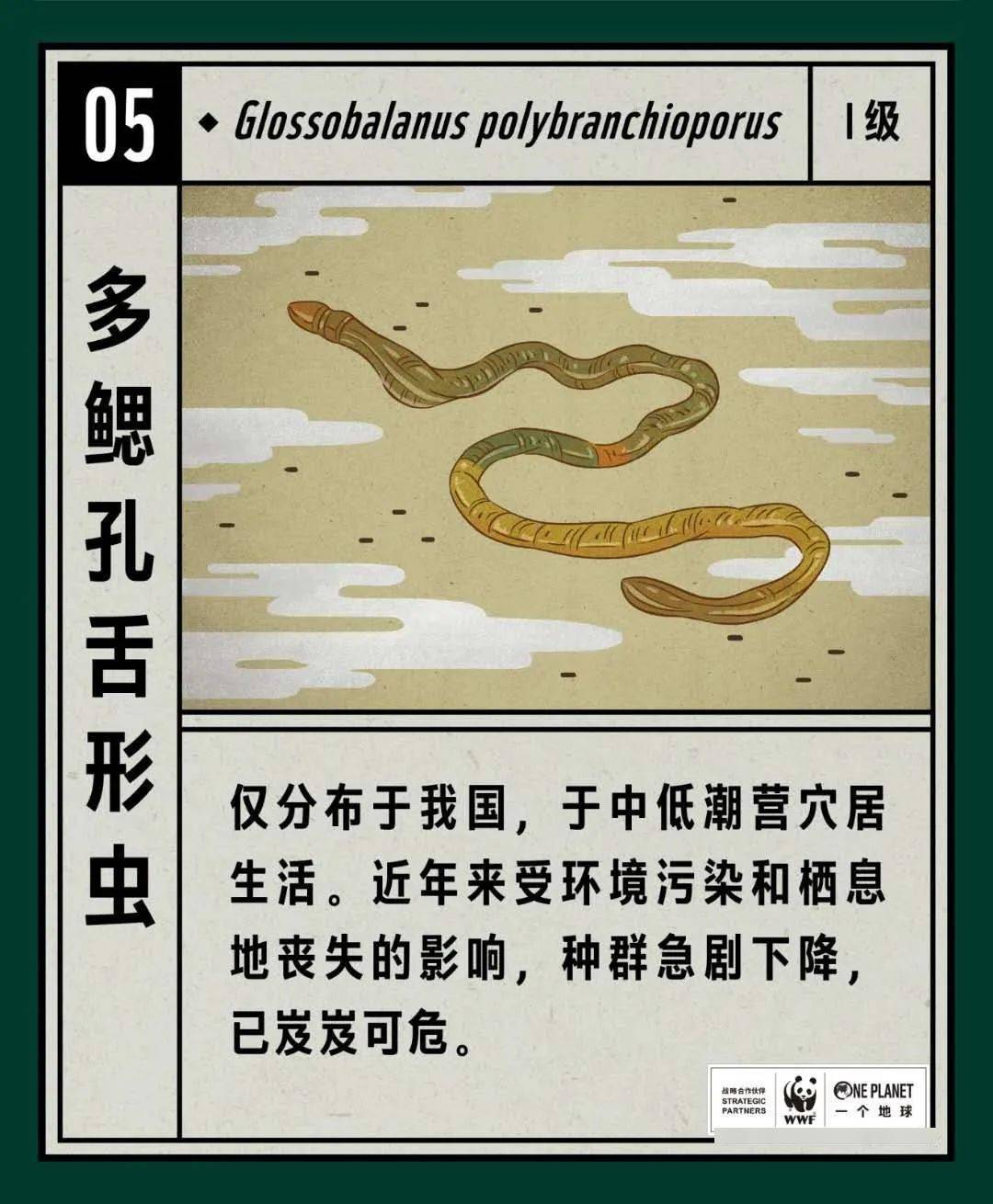 mojito刷屏但我更想看海宝图嗯探险寻宝了