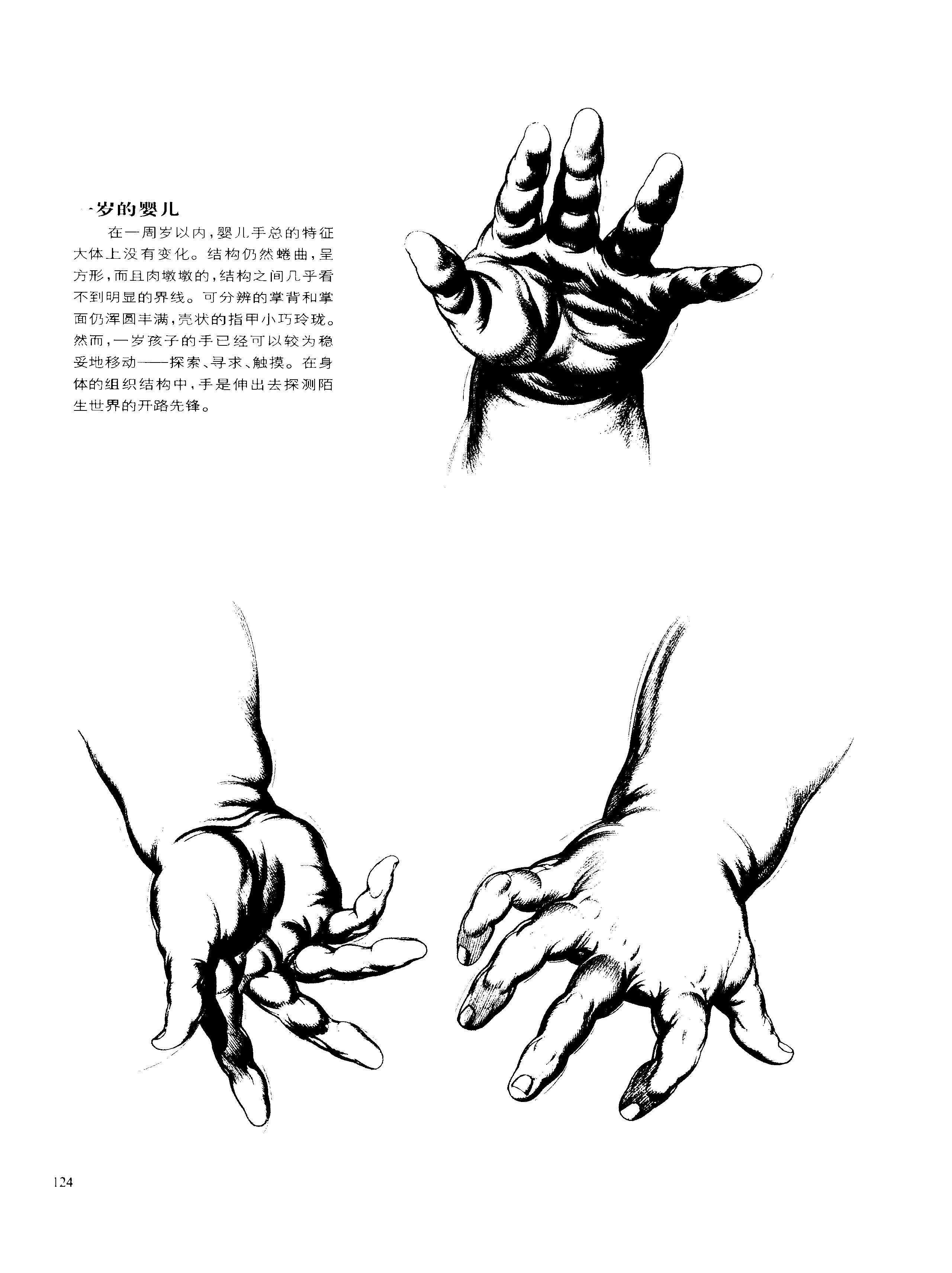 动态素描·手部结构 年纪的变化 伯恩霍加思