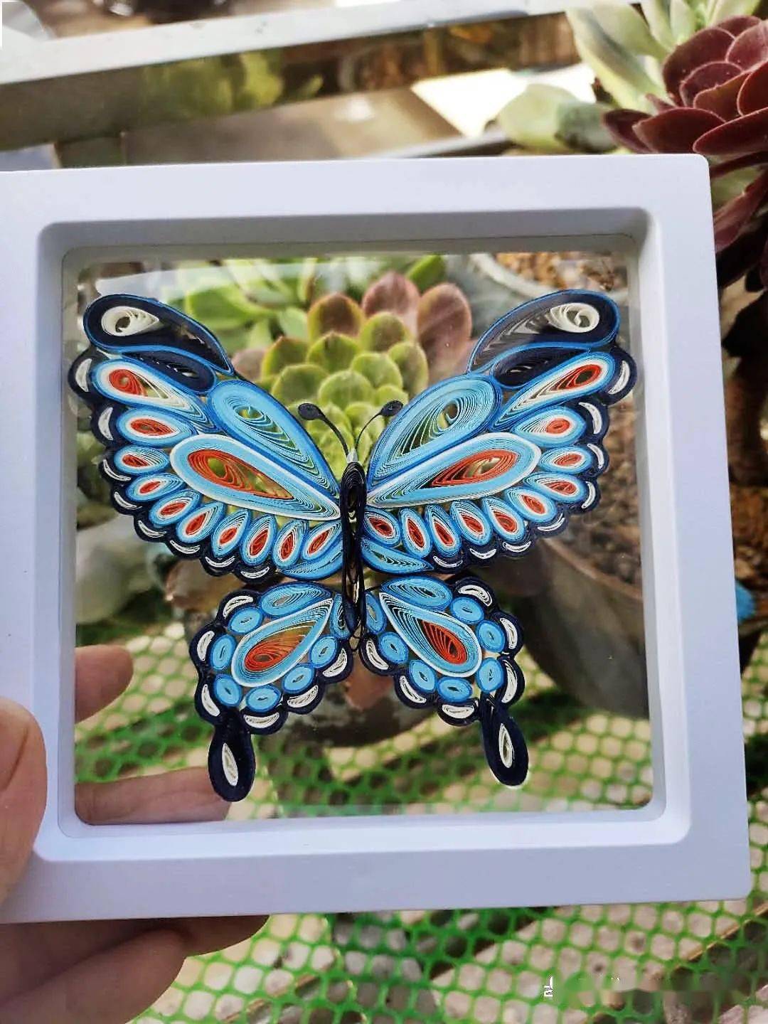 教程实录十二生肖立体绵羊立体小博士蓝色凤尾蝶