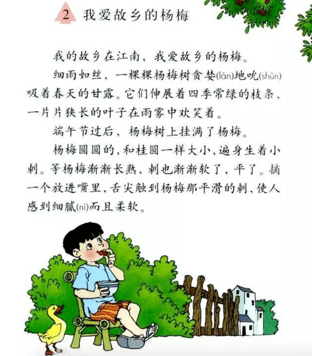 我爱故乡的杨梅这里有你的梅好时光