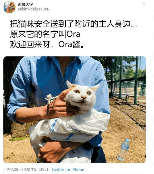 “我用一顿火锅钱，救了一只猫！”