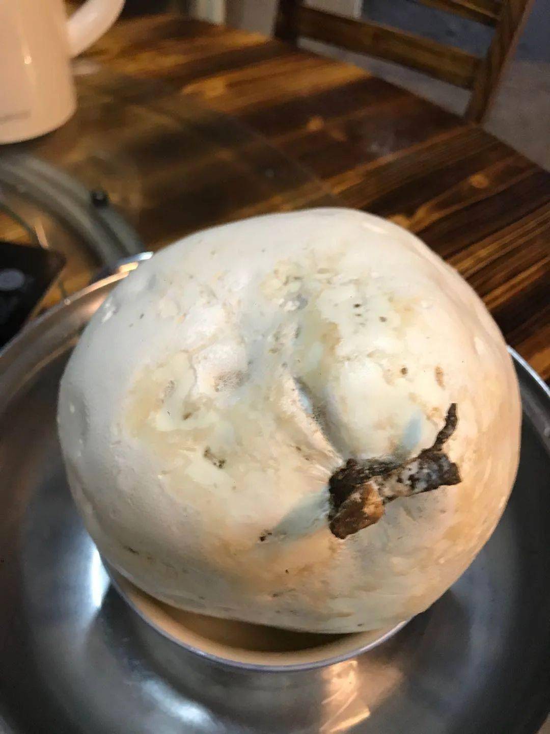桂林有人在尧山采到这种大蘑菇快看你见过吗?