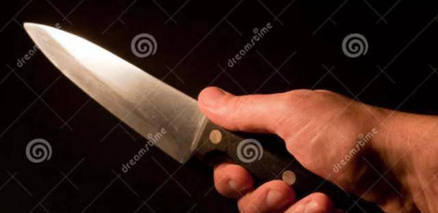 给美国递刀——哈佛黑论文背后的中国作者