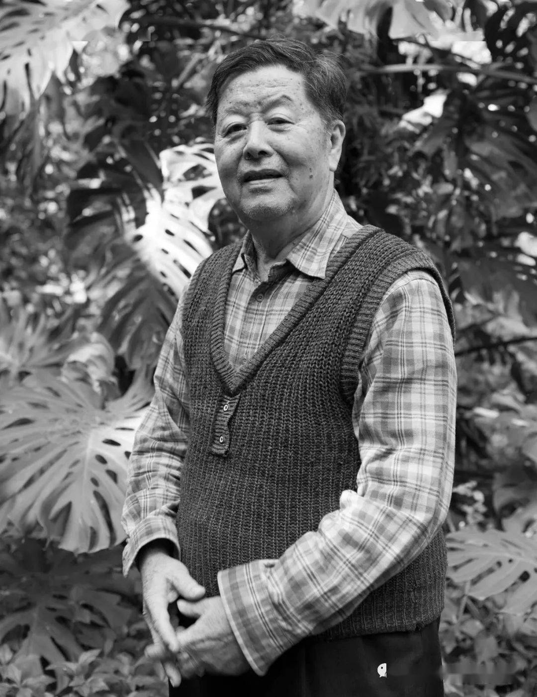 缅怀广州美术学院教授胡钜湛因病逝世享年90岁