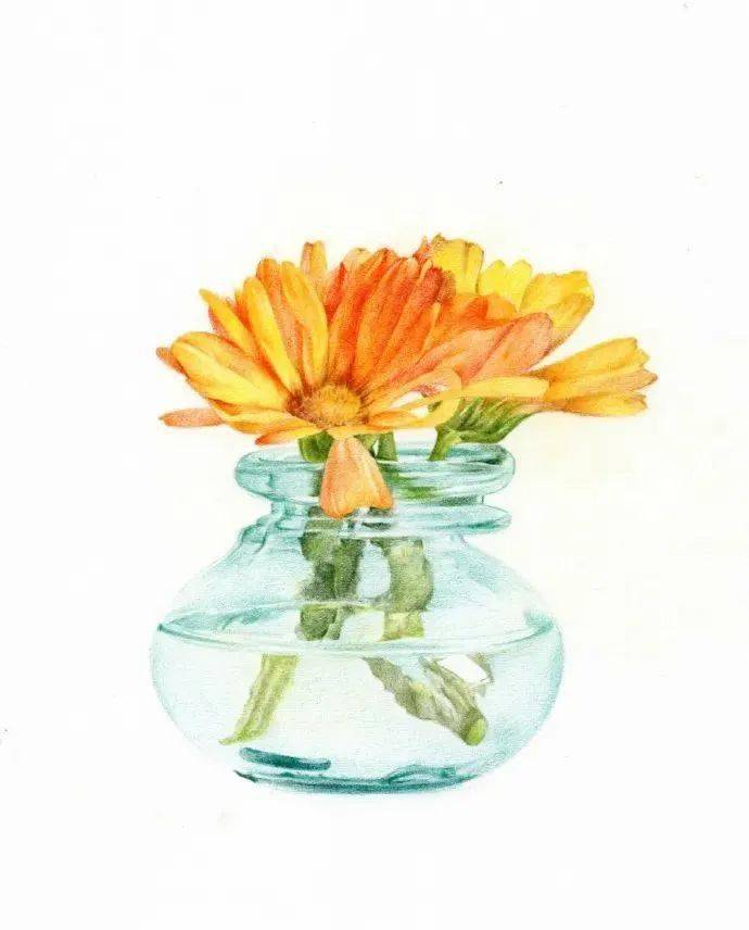 彩铅步骤手绘玻璃瓶花