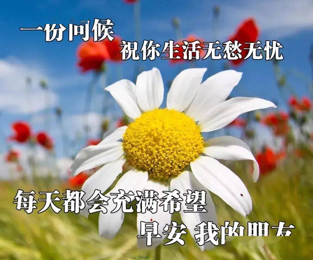 周一清晨祝福语暖心句子送给朋友早安问候语最美动态图片带字
