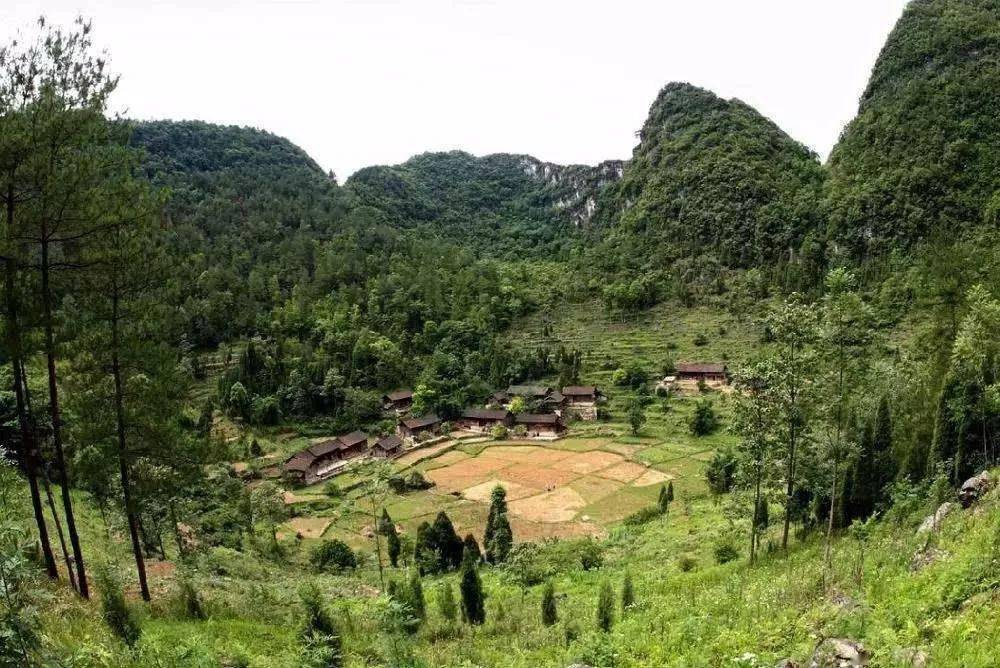 贵州退耕还林3070万亩生态效益840亿元