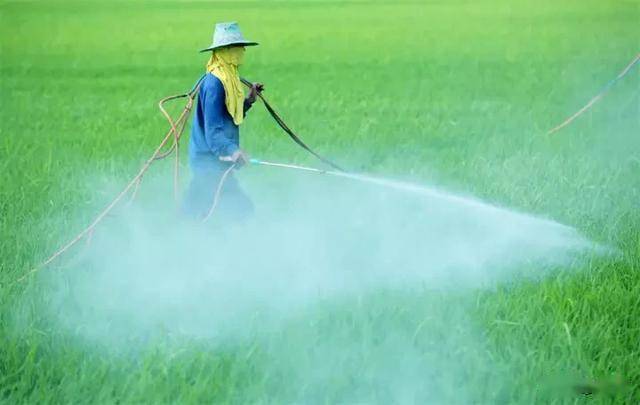 喷药时混加叶面肥要特别谨慎