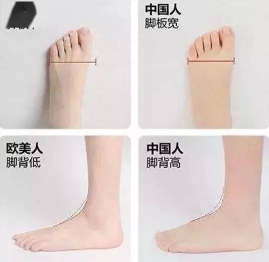 其实也不全是鞋的问题,我们亚洲人和欧洲人脚型确实有差异