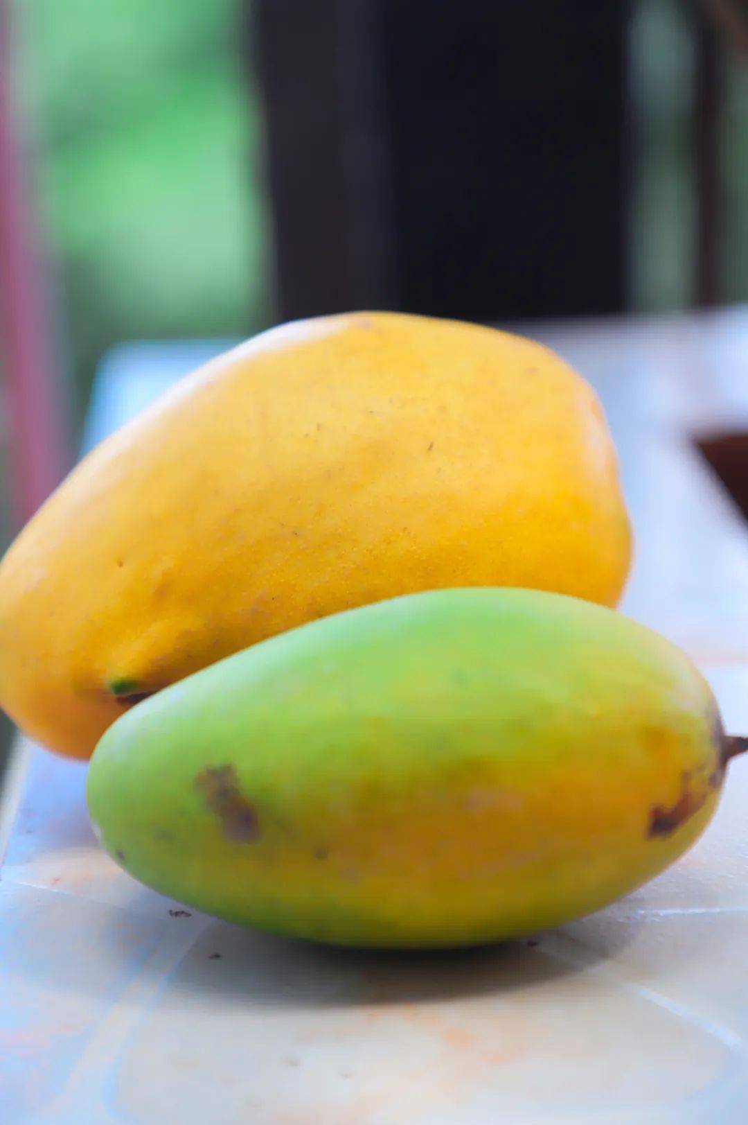 70元5kg还包邮芒果的真爱缅甸钻石芒果圣德龙开团购了