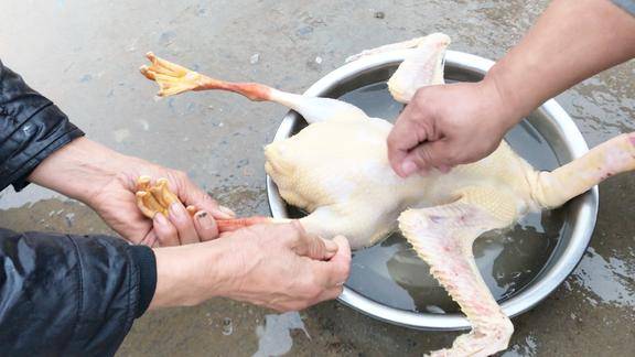 农村姑姑家杀大鹅炖肉满满一铁锅一起过阴天你那有这习俗吗