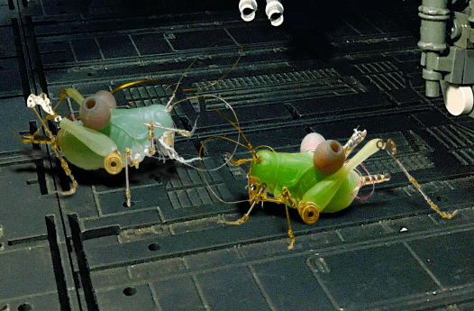 作 者:马腾作 品:《秋日下午》材 质:东陵玉尺 寸:7cm×3cm×3cm指导