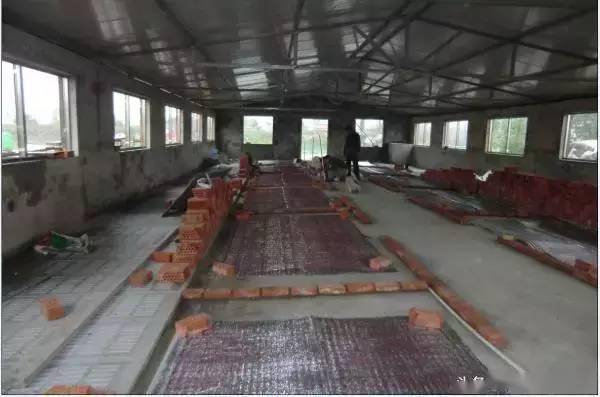 养猪赚钱有保障农村养猪新式猪舍实拍